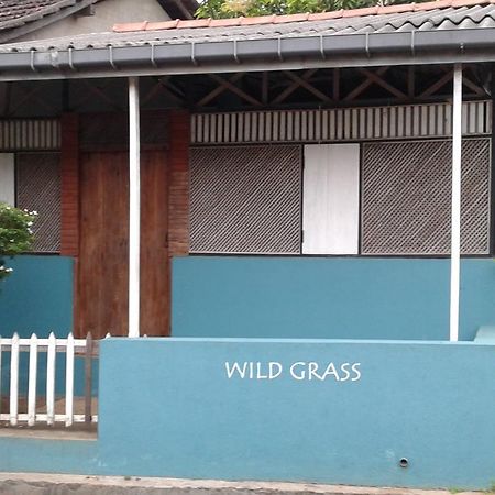 Wild Grass Villa แทนกาลเล ภายนอก รูปภาพ